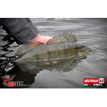 Nymfa REDBASS Nr. 1 L - 80 mm - balení 5 ks