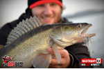 Nymfa REDBASS Nr. 1 L - 80 mm - balení 5 ks