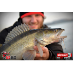Nymfa REDBASS Nr. 1 L - 80 mm - balení 5 ks