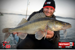 Nymfa REDBASS Nr. 1 L - 80 mm - balení 5 ks