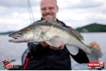 Nymfa REDBASS Nr. 1 L - 80 mm - balení 5 ks