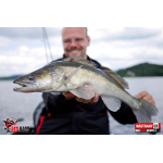 Nymfa REDBASS Nr. 1 L - 80 mm - balení 5 ks