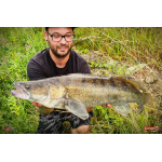Nymfa REDBASS Nr. 1 L - 80 mm - balení 5 ks