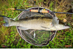 Nymfa REDBASS Nr. 1 L - 80 mm - balení 5 ks