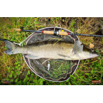 Nymfa REDBASS Nr. 1 L - 80 mm - balení 5 ks