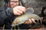 Nymfa REDBASS Nr. 1 L - 80 mm - balení 5 ks