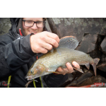 Nymfa REDBASS Nr. 1 L - 80 mm - balení 5 ks