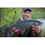 Nymfa REDBASS Nr. 1 L - 80 mm - balení 5 ks