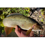 Nymfa REDBASS Nr. 1 L - 80 mm - balení 5 ks