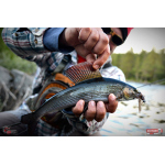 Nymfa REDBASS Nr. 1 L - 80 mm - balení 5 ks