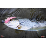 Nymfa REDBASS Nr. 1 L - 80 mm - balení 5 ks