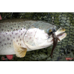 Nymfa REDBASS Nr. 1 L - 80 mm - balení 5 ks