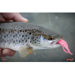 Nymfa REDBASS Nr. 1 L - 80 mm - balení 5 ks