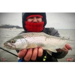 Nymfa REDBASS Nr. 1 L - 80 mm - balení 5 ks