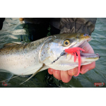 Nymfa REDBASS Nr. 1 L - 80 mm - balení 5 ks