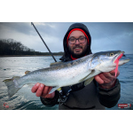 Nymfa REDBASS Nr. 1 L - 80 mm - balení 5 ks