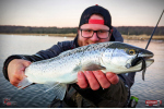 Nymfa REDBASS Nr. 1 L - 80 mm - balení 5 ks