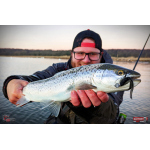Nymfa REDBASS Nr. 1 L - 80 mm - balení 5 ks