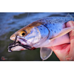 Nymfa REDBASS Nr. 1 L - 80 mm - balení 5 ks