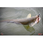 Nymfa REDBASS Nr. 1 L - 80 mm - balení 5 ks