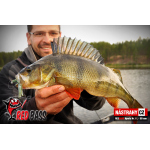 Nymfa REDBASS Nr. 1 L - 80 mm - balení 5 ks