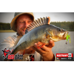Zvýhodněná sada Streamer Marabou "Čeburaška"