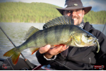 Nymfa REDBASS Nr. 1 L - 80 mm - balení 5 ks