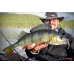 Nymfa REDBASS Nr. 1 L - 80 mm - balení 5 ks