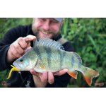 Nymfa REDBASS Nr. 1 L - 80 mm - balení 5 ks