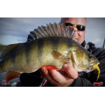 Nymfa REDBASS Nr. 1 L - 80 mm - balení 5 ks