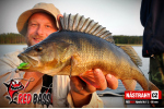 Nymfa REDBASS Nr. 1 L - 80 mm - balení 5 ks