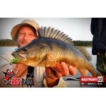 Nymfa REDBASS Nr. 1 L - 80 mm - balení 5 ks