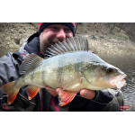 Nymfa REDBASS Nr. 1 L - 80 mm - balení 5 ks