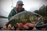 Nymfa REDBASS Nr. 1 L - 80 mm - balení 5 ks