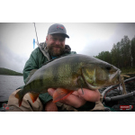 Nymfa REDBASS Nr. 1 L - 80 mm - balení 5 ks