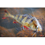 Nymfa REDBASS Nr. 1 L - 80 mm - balení 5 ks