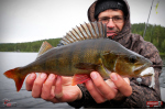 Nymfa REDBASS Nr. 1 L - 80 mm - balení 5 ks