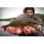 Nymfa REDBASS Nr. 1 L - 80 mm - balení 5 ks