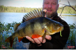 Nymfa REDBASS Nr. 1 L - 80 mm - balení 5 ks