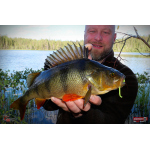Nymfa REDBASS Nr. 1 L - 80 mm - balení 5 ks