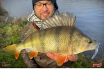Nymfa REDBASS Nr. 1 L - 80 mm - balení 5 ks