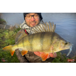 Nymfa REDBASS Nr. 1 L - 80 mm - balení 5 ks