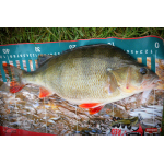 Nymfa REDBASS Nr. 1 L - 80 mm - balení 5 ks