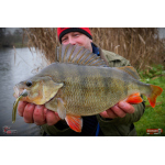 Nymfa REDBASS Nr. 1 L - 80 mm - balení 5 ks