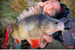 Nymfa REDBASS Nr. 1 L - 80 mm - balení 5 ks