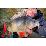 Nymfa REDBASS Nr. 1 L - 80 mm - balení 5 ks