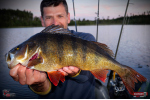 Nymfa REDBASS Nr. 1 L - 80 mm - balení 5 ks