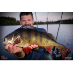 Nymfa REDBASS Nr. 1 L - 80 mm - balení 5 ks