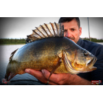 Nymfa REDBASS Nr. 1 L - 80 mm - balení 5 ks