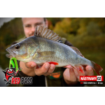 Zvýhodněná sada Streamer Marabou "Čeburaška"